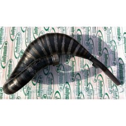 KTM MX 85cc Jolly Moto udst�dning  -->2016/17