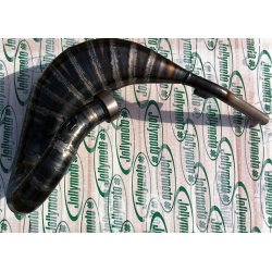 KTM MX 85cc Jolly Moto udst�dning  -->2016/17