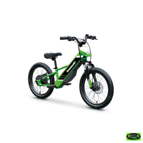 Kawasaki Elektrode 