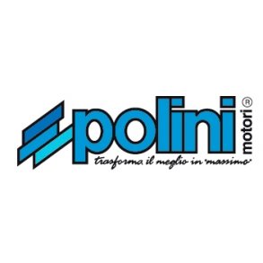 Polini